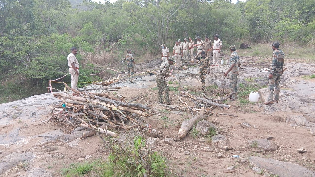 ಹುಲಿ-ದನ ಆಟ!