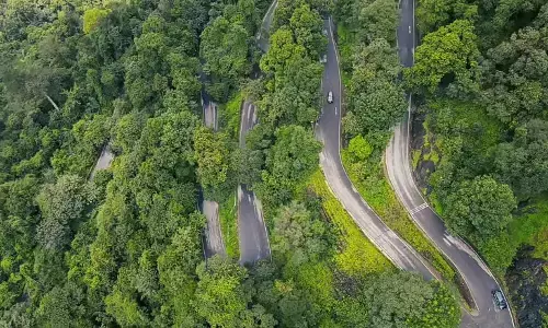 ಅಭಿವೃದ್ಧಿ ಹಾದಿಯಲಿ ಹಸಿರು ನಾಶ : ಪಶ್ಚಿಮ ಘಟ್ಟದ ಶ್ವಾಸಕ್ಕೆ ಆಘಾತ