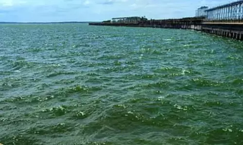 ಮುಂಗಾರು ಆರಂಭದಲ್ಲೇ ಕೆಆರ್‌ಎಸ್ ಭರ್ತಿ: ನಾಳೆ ಸಿಎಂ ಸಿದ್ದರಾಮಯ್ಯ ಬಾಗಿನ ಸಮರ್ಪಣೆ