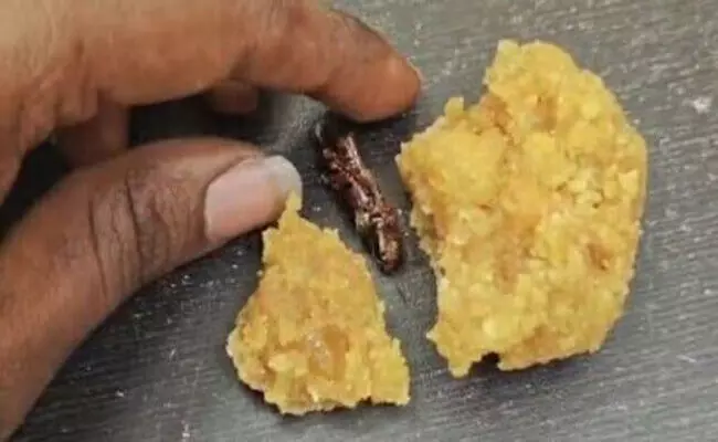 ಆಂಧ್ರಪ್ರದೇಶ | ಶ್ರೀಶೈಲಂ ದೇವಸ್ಥಾನದ ಪ್ರಸಾದದಲ್ಲಿ ಜಿರಳೆ ಪತ್ತೆ, ಭಕ್ತನ ಆರೋಪ ನಿರಾಕರಿಸಿದ ದೇವಳದ ಅಧಿಕಾರಿ