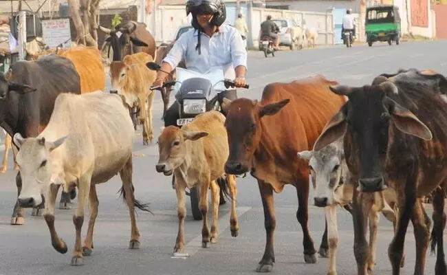 ಅಸ್ಸಾಮ್: ಸರಕಾರಿ ಗೋಮಾಳದಿಂದ 300 ಕುಟುಂಬಗಳ ತೆರವು