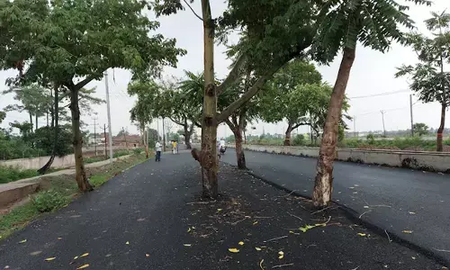 ಮರಗಳನ್ನು ಇದ್ದ ಹಾಗೇ ಬಿಟ್ಟು 100 ಕೋಟಿ ರೂ. ವೆಚ್ಚದಲ್ಲಿ ರಸ್ತೆ ವಿಸ್ತರಣೆ: ವಿವಾದಕ್ಕೀಡಾದ ಬಿಹಾರದ ಮತ್ತೊಂದು ಯೋಜನೆ