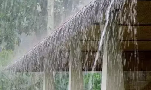 ಬೀದರ್ ನಲ್ಲಿ ಧಾರಾಕಾರ ಮಳೆ : ರೈತರಲ್ಲಿ ಸಂತಸ