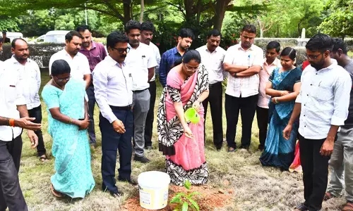 ಯಾದಗಿರಿ | ಜಿಲ್ಲೆಯನ್ನು ಪ್ರತಿ ಕ್ಷೇತ್ರದಲ್ಲೂ ಮುಂಚೂಣಿಗೆ ತರಲು ಪ್ರಾಮಾಣಿಕ ಪ್ರಯತ್ನ ಮಾಡಿ : ಡಿಸಿ ಡಾ.ಸುಶೀಲಾ ಬಿ.