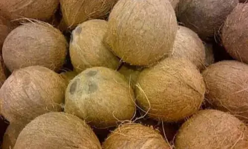 ರಾಜ್ಯದಲ್ಲಿ ತೆಂಗಿನಕಾಯಿ ದರ ಗಣನೀಯ ಹೆಚ್ಚಳ