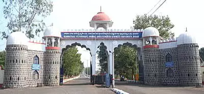 ಬೀದರ್ | ಆರ್ಥಿಕ ಅಭಿವೃದ್ದಿ ಸುಸ್ಥಿರತೆ ಕುರಿತು ತರಬೇತಿ; ಹೆಸರು ನೋಂದಣಿಗೆ ಸೂಚನೆ ಬೀದರ್ | ಆರ್ಥಿಕ ಅಭಿವೃದ್ದಿ ಸುಸ್ಥಿರತೆ ಕುರಿತು ತರಬೇತಿ; ಹೆಸರು ನೋಂದಣಿಗೆ ಸೂಚನೆ