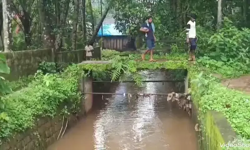 ತಡೆಬೇಲಿ ಇಲ್ಲದೆ ಅಪಾಯ ಆಹ್ವಾನಿಸುತ್ತಿರುವ ಕಾಲುಸೇತುವೆ!