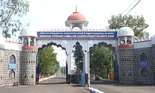 ಬೀದರ್ | ಆರ್ಥಿಕ ಅಭಿವೃದ್ದಿ ಸುಸ್ಥಿರತೆ ಕುರಿತು ತರಬೇತಿ; ಹೆಸರು ನೋಂದಣಿಗೆ ಸೂಚನೆ