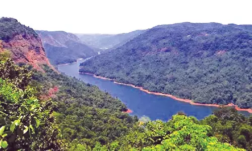 ಶರಾವತಿ ಸಂತ್ರಸ್ತರೆಂದು ನಕಲಿ ದಾಖಲೆ ಸೃಷ್ಟಿಸಿದ ಕುಟುಂಬ; 69 ಎಕರೆ ಅರಣ್ಯ ಭೂಮಿ ಅಕ್ರಮವಾಗಿ ಮಂಜೂರು!