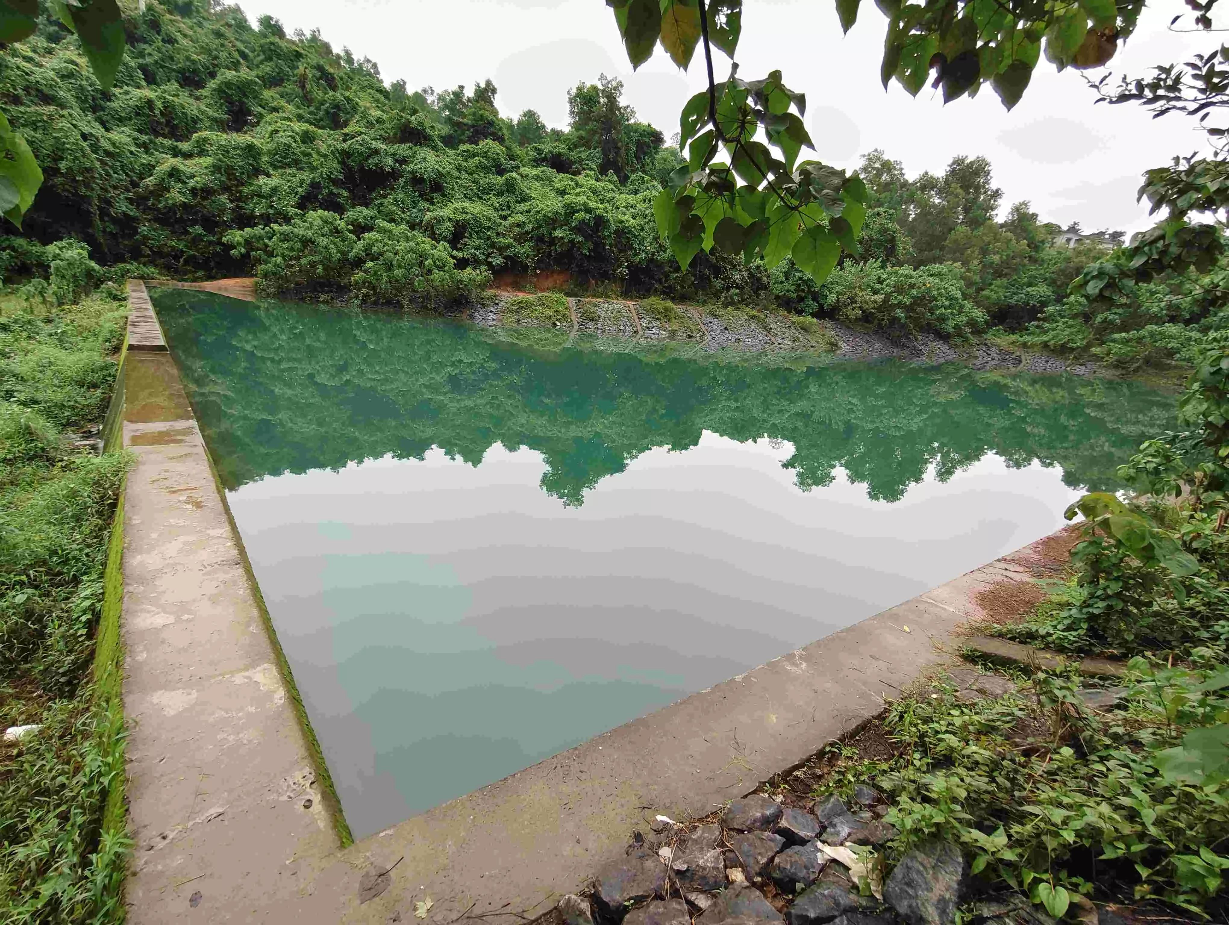 ಕೊಣಾಜೆ: ಅಪಾಯಕಾರಿ ದಡಸು ಕೆರೆಯಲ್ಲಿ ಮೋಜಿನ ಈಜಾಟ; ಗ್ರಾ.ಪಂ.ನಿಂದ ದಂಡದ ಎಚ್ಚರಿಕೆ ಕೊಣಾಜೆ: ಅಪಾಯಕಾರಿ ದಡಸು ಕೆರೆಯಲ್ಲಿ ಮೋಜಿನ ಈಜಾಟ; ಗ್ರಾ.ಪಂ.ನಿಂದ ದಂಡದ ಎಚ್ಚರಿಕೆ