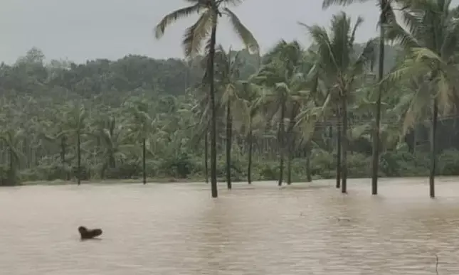 ಉಡುಪಿ| ಜೂನ್ ತಿಂಗಳಲ್ಲಿ ರಾಜ್ಯದಲ್ಲೇ ಅತ್ಯಧಿಕ ಮಳೆ: ಕೃಷಿ ಚಟುವಟಿಕೆಗೆ ಬಿರುಸು
