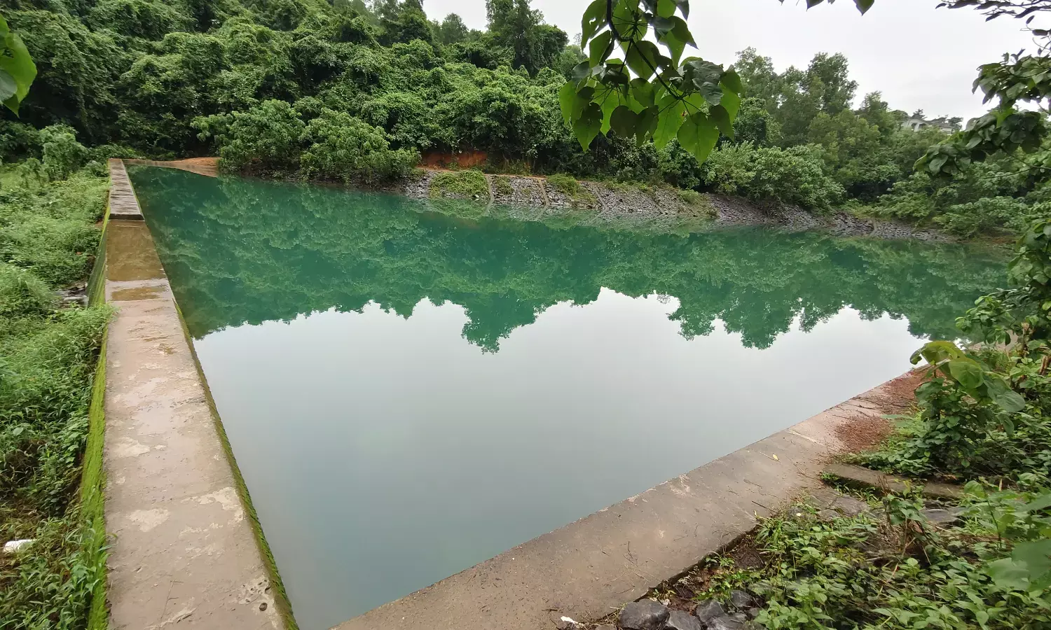 ಕೊಣಾಜೆ: ಅಪಾಯಕಾರಿ ದಡಸು ಕೆರೆಯಲ್ಲಿ ಮೋಜಿನ ಈಜಾಟ; ಗ್ರಾ.ಪಂ.ನಿಂದ ದಂಡದ ಎಚ್ಚರಿಕೆ