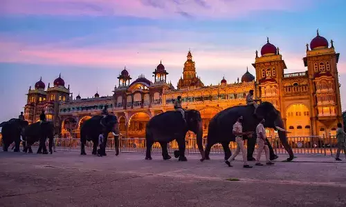 ದಸರಾ ಉತ್ಸವಕ್ಕೆ ಆನೆಗಳ ಬಳಕೆ ಬೇಡ