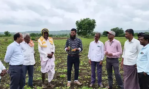ಕಲಬುರಗಿ | ಜಮೀನಿಗೆ ಕೃಷಿ ವಿಜ್ಞಾನಿಗಳ ಭೇಟಿ: ಭಾದಿತ ಬೆಳೆಗಳ ಪರಿಶೀಲಿಸಿ ಜಾಗೃತಿ