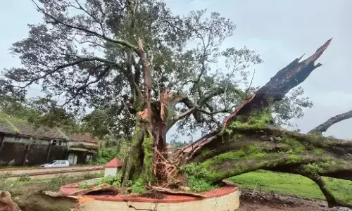 ಕೊಡಗಿನಲ್ಲಿ ಮತ್ತೆ ಮುಂಗಾರು ಚುರುಕು : ರೆಡ್ ಅಲರ್ಟ್ ಘೋಷಣೆ