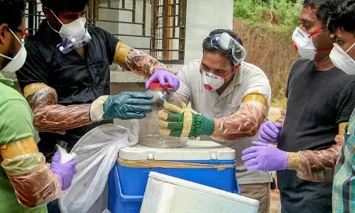 ಕೇರಳದಲ್ಲಿ ಎರಡು ಶಂಕಿತ ನಿಫಾ ಪ್ರಕರಣಗಳು ಪತ್ತೆ: 3 ಜಿಲ್ಲೆಗಳಲ್ಲಿ ಹೈ ಅಲರ್ಟ್ ಘೋಷಣೆ