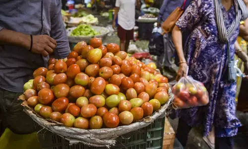 ಗಗನಕ್ಕೇರಿದ ಟೊಮೆಟೊ ಬೆಲೆ; ಮನೆಯೂಟ ಕೂಡಾ ದುಬಾರಿ; ವರದಿ