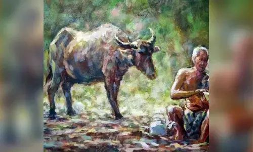 ಎಮ್ಮೆಗೆ ಶೇವಿಂಗ್ ಮಾಡುವ ‘ಜಾತಗಾರರು’