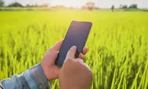 ಮುಂಗಾರು ಹಂಗಾಮಿನಲ್ಲಿ ರೈತರಿಂದಲೇ ಬೆಳೆ ಸಮೀಕ್ಷೆ