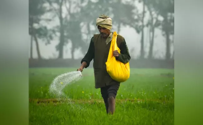 ನಕಲಿ,ಕಳಪೆ ಗುಣಮಟ್ಟದ ರಸಗೊಬ್ಬರಗಳ ಮಾರಾಟ ವಿರುದ್ಧ ಕಠಿಣ ಕ್ರಮ:ರಾಜ್ಯಗಳಿಗೆ ಕೇಂದ್ರದ ನಿರ್ದೇಶನ