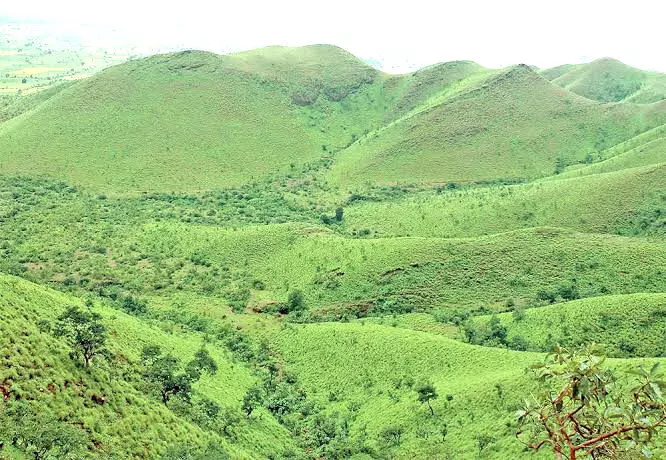 ಉತ್ತರ ಕರ್ನಾಟಕದ ಸಹ್ಯಾದ್ರಿ ‘ಕಪ್ಪತ್ತಗುಡ್ಡ’