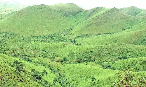 ಉತ್ತರ ಕರ್ನಾಟಕದ ಸಹ್ಯಾದ್ರಿ ‘ಕಪ್ಪತ್ತಗುಡ್ಡ’