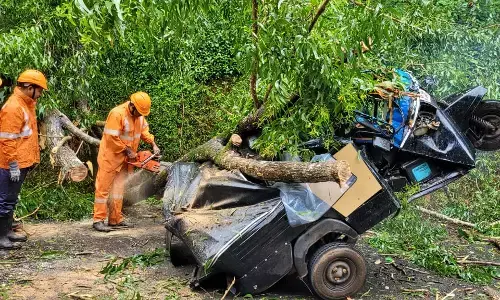 ಕಾಸರಗೋಡು | ಚಲಿಸುತ್ತಿದ್ದ ಆಟೊ ರಿಕ್ಷಾದ ಮೇಲೆ ಬಿದ್ದ ಭಾರೀ ಗಾತ್ರದ ಮರ