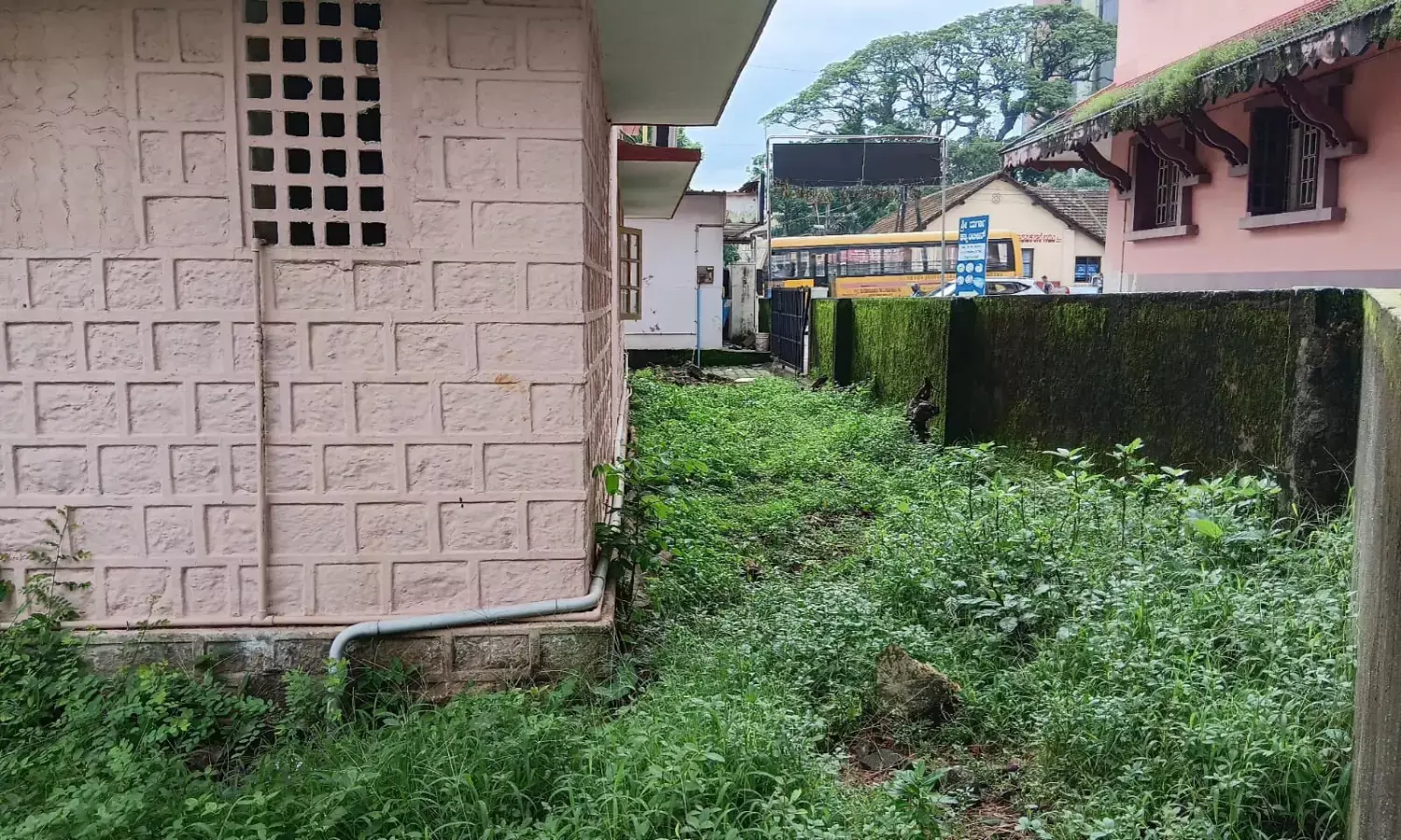 ಸೊಳ್ಳೆಗಳ ಉತ್ಪತ್ತಿ ಕಾರ್ಖಾನೆಯಾಗಿರುವ ಉಡುಪಿ ನಗರ ಪ್ರಾಥಮಿಕ ಆರೋಗ್ಯ ಕೇಂದ್ರ!