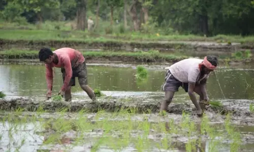 ರೈತರು ರಜೆಯಲ್ಲಿದ್ದಾರೆ! ತಿರುಗಿ ಬರುತ್ತಾರೆಯೇ?