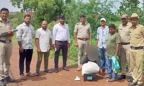 ಬೀದರ್ | ಮೂರು ಲಕ್ಷಕ್ಕೂ ಅಧಿಕ ಮೌಲ್ಯದ ಗಾಂಜಾ ವಶ : ಆರೋಪಿಯ ಬಂಧನ