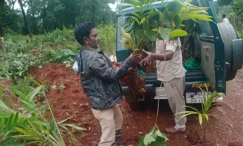 ಶರಾವತಿ ಮುಳುಗಡೆ ಸಂತ್ರಸ್ತರ ಸಾಗುವಳಿ ಭೂಮಿ ತೆರವು: ಆರೋಪ