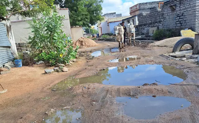 ಯಾದಗಿರಿ | ಹೊನಗೇರಾ ರಸ್ತೆಯಲ್ಲಿನ ಗುಂಡಿಗಳನ್ನು ದುರಸ್ತಿಪಡಿಸದಿದ್ದರೆ ಹೋರಾಟ: ವಿಶ್ವರಾಜ ಪಾಟೀಲ್