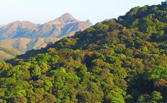 10 ವರ್ಷಗಳಲ್ಲಿ 1.73 ಲಕ್ಷ ಹೆಕ್ಟೇರ್‌ಗೂ ಅಧಿಕ ಅರಣ್ಯಭೂಮಿ ಅನ್ಯ ಉದ್ದೇಶಗಳಿಗೆ ಬಳಕೆ: ಕೇಂದ್ರ ಸರಕಾರ