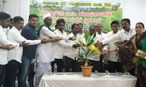 ಬೀದರ್ | ಕರ್ನಾಟಕ ಬೆಳೆ ಸಮೀಕ್ಷೆದಾರರಿಗೆ ವಿಶೇಷ ಸೌಲಭ್ಯ ನೀಡಬೇಕು : ಮಲ್ಲಿಕಾರ್ಜುನ ಸ್ವಾಮಿ