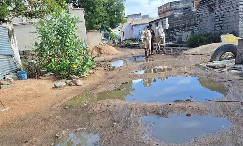 ಯಾದಗಿರಿ | ಹೊನಗೇರಾ ರಸ್ತೆಯಲ್ಲಿನ ಗುಂಡಿಗಳನ್ನು ದುರಸ್ತಿಪಡಿಸದಿದ್ದರೆ ಹೋರಾಟ: ವಿಶ್ವರಾಜ ಪಾಟೀಲ್