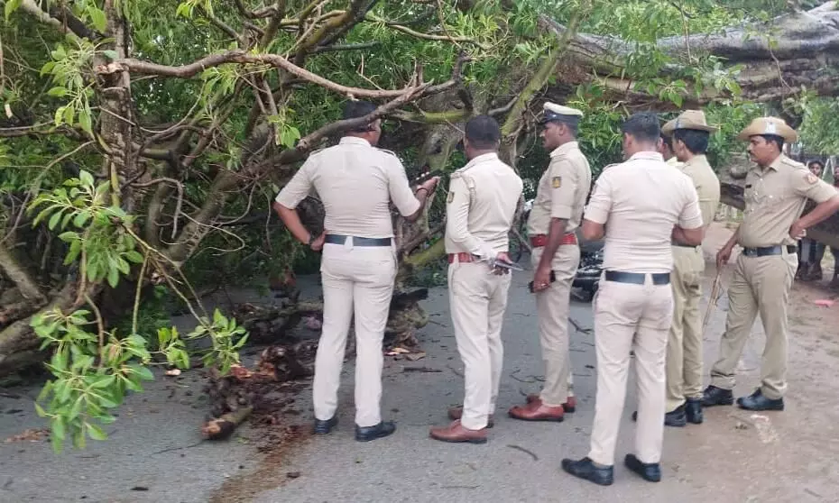 ಮುದಗಲ್ | ಚಲಿಸುತ್ತಿದ್ದ ಬೈಕ್ ಮೇಲೆ ಮರ ಬಿದ್ದು ಇಬ್ಬರು ಮೃತ್ಯು ಮುದಗಲ್ | ಚಲಿಸುತ್ತಿದ್ದ ಬೈಕ್ ಮೇಲೆ ಮರ ಬಿದ್ದು ಇಬ್ಬರು ಮೃತ್ಯು