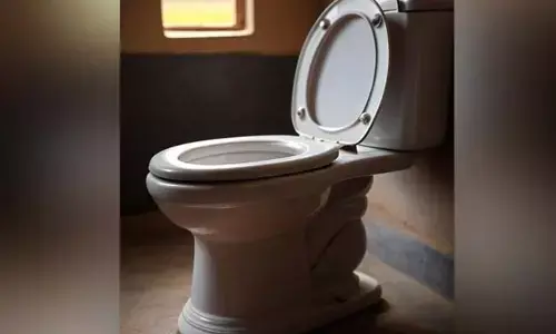 ಗುಜರಾತ್ | ಕಾಗದದಲ್ಲೇ 1,906 ಶೌಚಾಲಯ ಕಟ್ಟಿದ ಪುರಸಭೆ; ಆರ್‌ಟಿಐ ಕಾರ್ಯಕರ್ತನಿಂದ 2 ಕೋಟಿ ರೂ. ಹಗರಣ ಬಹಿರಂಗ!