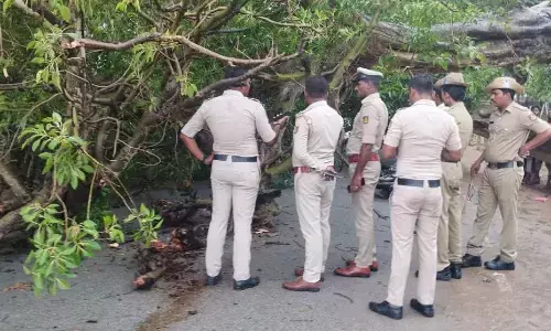 ಮುದಗಲ್ | ಚಲಿಸುತ್ತಿದ್ದ ಬೈಕ್‌ ಮೇಲೆ ಮರ ಬಿದ್ದು ಇಬ್ಬರು ಮೃತ್ಯು