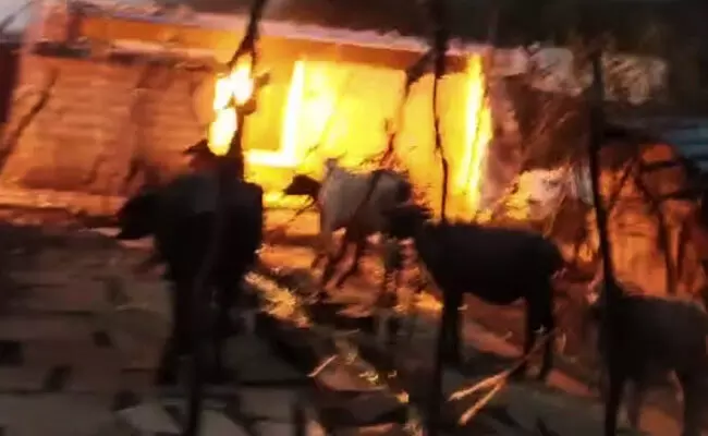 ಯಾದಗಿರಿ | ಜಾಲಿಬೆಂಚಿ-ವಿದ್ಯುತ್ ಅವಘಡದ ಪರಿಹಾರ ವಿತರಣೆಯಲ್ಲಿ ತಾರತಮ್ಯ ಆರೋಪ