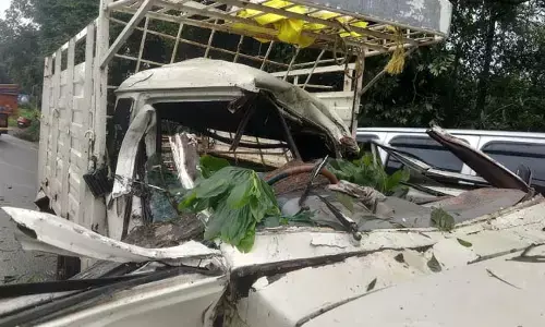 ಕುಂದಾಪುರ: ಕಾಳಾವರದಲ್ಲಿ ಚಲಿಸುತ್ತಿದ್ದ ಪಿಕಪ್ ಮೇಲೆ ಬಿದ್ದ ಮರ; ಚಾಲಕನಿಗೆ ಗಾಯ