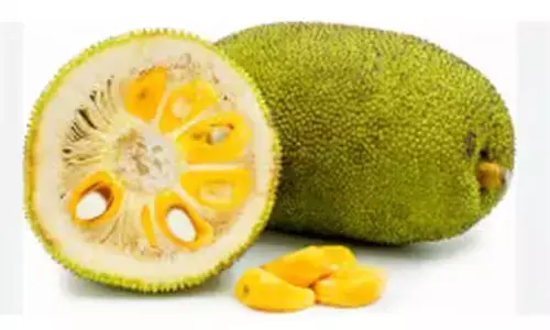 ಉಡುಪಿ: ಜು.26 -27ರಂದು ಸಂತೆಕಟ್ಟೆಯಲ್ಲಿ ಹಲಸು ಮೇಳ