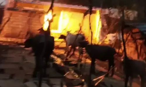 ಯಾದಗಿರಿ | ಜಾಲಿಬೆಂಚಿ-ವಿದ್ಯುತ್ ಅವಘಡದ ಪರಿಹಾರ ವಿತರಣೆಯಲ್ಲಿ ತಾರತಮ್ಯ ಆರೋಪ