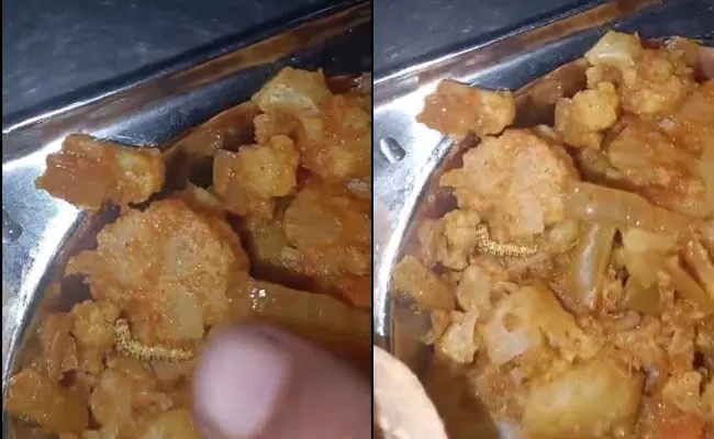 ಪುಣೆ ವಿವಿ ಕ್ಯಾಂಟೀನ್ ಆಹಾರದಲ್ಲಿ ಹುಳ ಪತ್ತೆ; ಕ್ರಮಕ್ಕೆ ವಿದ್ಯಾರ್ಥಿಗಳ ಆಗ್ರಹ