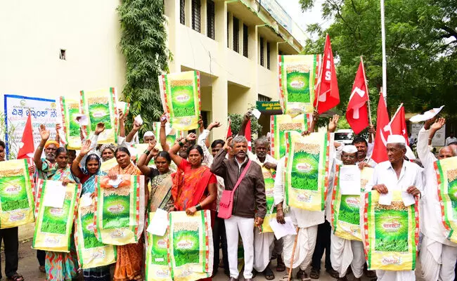 ಕಲಬುರಗಿ | ಕಳಪೆ ಬೀಜ ವಿತರಿಸಿದ ಕಂಪನಿ ವಿರುದ್ಧ ಕ್ರಮಕ್ಕೆ ರೈತರಿಂದ ಆಗ್ರಹ ಕಲಬುರಗಿ | ಕಳಪೆ ಬೀಜ ವಿತರಿಸಿದ ಕಂಪನಿ ವಿರುದ್ಧ ಕ್ರಮಕ್ಕೆ ರೈತರಿಂದ ಆಗ್ರಹ