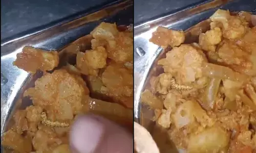 ಪುಣೆ ವಿವಿ ಕ್ಯಾಂಟೀನ್ ಆಹಾರದಲ್ಲಿ ಹುಳ ಪತ್ತೆ; ಕ್ರಮಕ್ಕೆ ವಿದ್ಯಾರ್ಥಿಗಳ ಆಗ್ರಹ