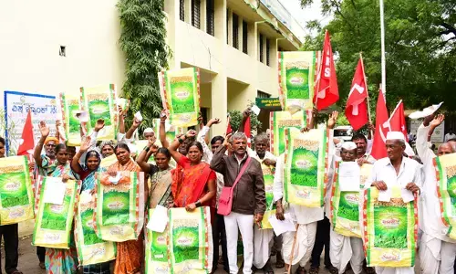 ಕಲಬುರಗಿ | ಕಳಪೆ ಬೀಜ ವಿತರಿಸಿದ ಕಂಪನಿ ವಿರುದ್ಧ ಕ್ರಮಕ್ಕೆ ರೈತರಿಂದ ಆಗ್ರಹ