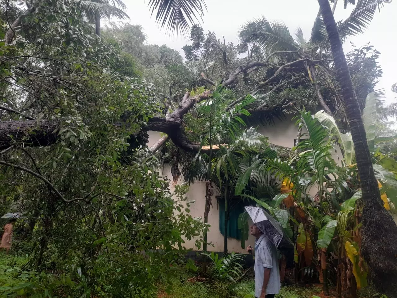 ಉಡುಪಿ: ಆರೆಂಜ್ ಅಲರ್ಟ್ ಮುಂದುವರಿಕೆ; 21 ಮನೆಗಳಿಗೆ ಹಾನಿ ಉಡುಪಿ: ಆರೆಂಜ್ ಅಲರ್ಟ್ ಮುಂದುವರಿಕೆ; 21 ಮನೆಗಳಿಗೆ ಹಾನಿ