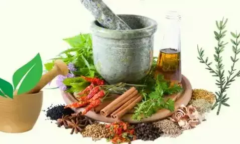 ಜು.27 ಮಂಗಳೂರಿನಲ್ಲಿ ಹೋಮೀಯೊಪತಿ ವೈದ್ಯರ ವಿಚಾರ ಸಂಕಿರಣ