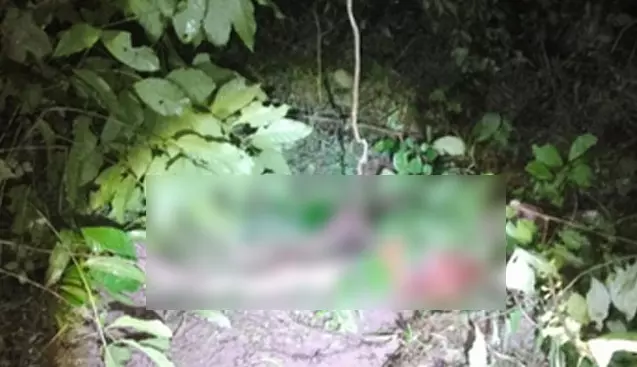 ಬಾಳೆಹೊನ್ನೂರು | ಕಾಡಾನೆ ದಾಳಿಗೆ ರೈತ ಬಲಿ