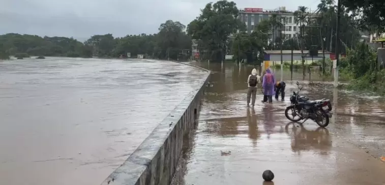 ಚಿಕ್ಕಮಗಳೂರು | ಮಳೆಯೊಂದಿಗೆ ಭಾರೀ ಗಾಳಿ; ಅಲಲ್ಲಿ ಮರಗಳು, ವಿದ್ಯುತ್ ಕಂಬಗಳು ಧರಾಶಾಹಿ